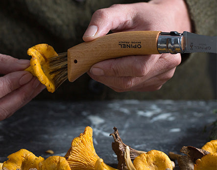 Mushrooms OPINEL