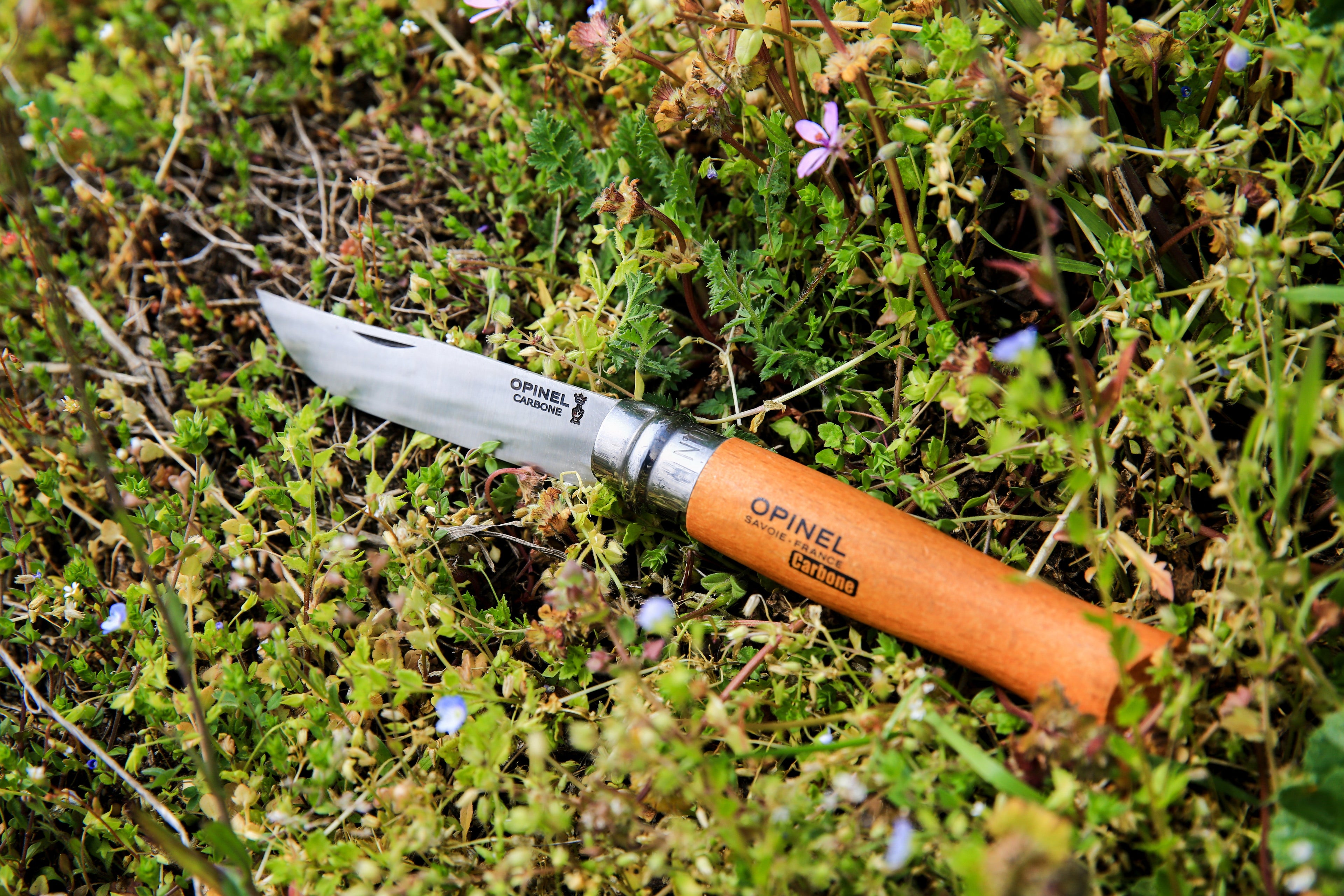 Carbono OPINEL