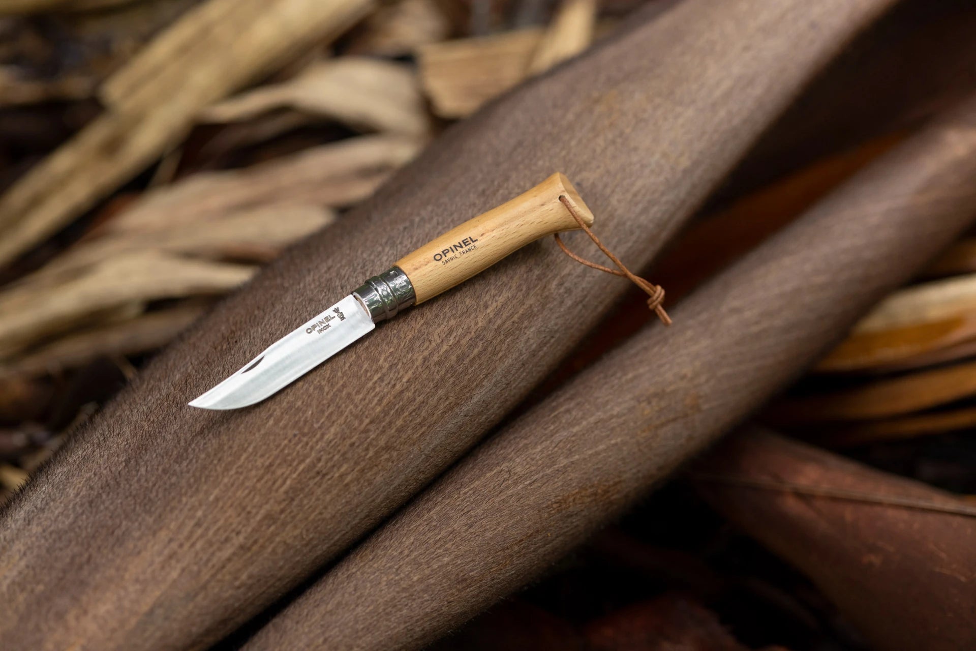 No. 08 Aventurero Natural